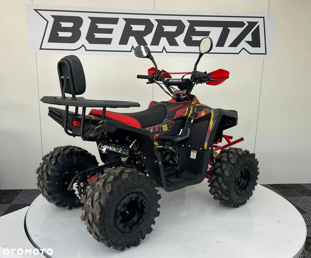 Berreta Bulldog - 17