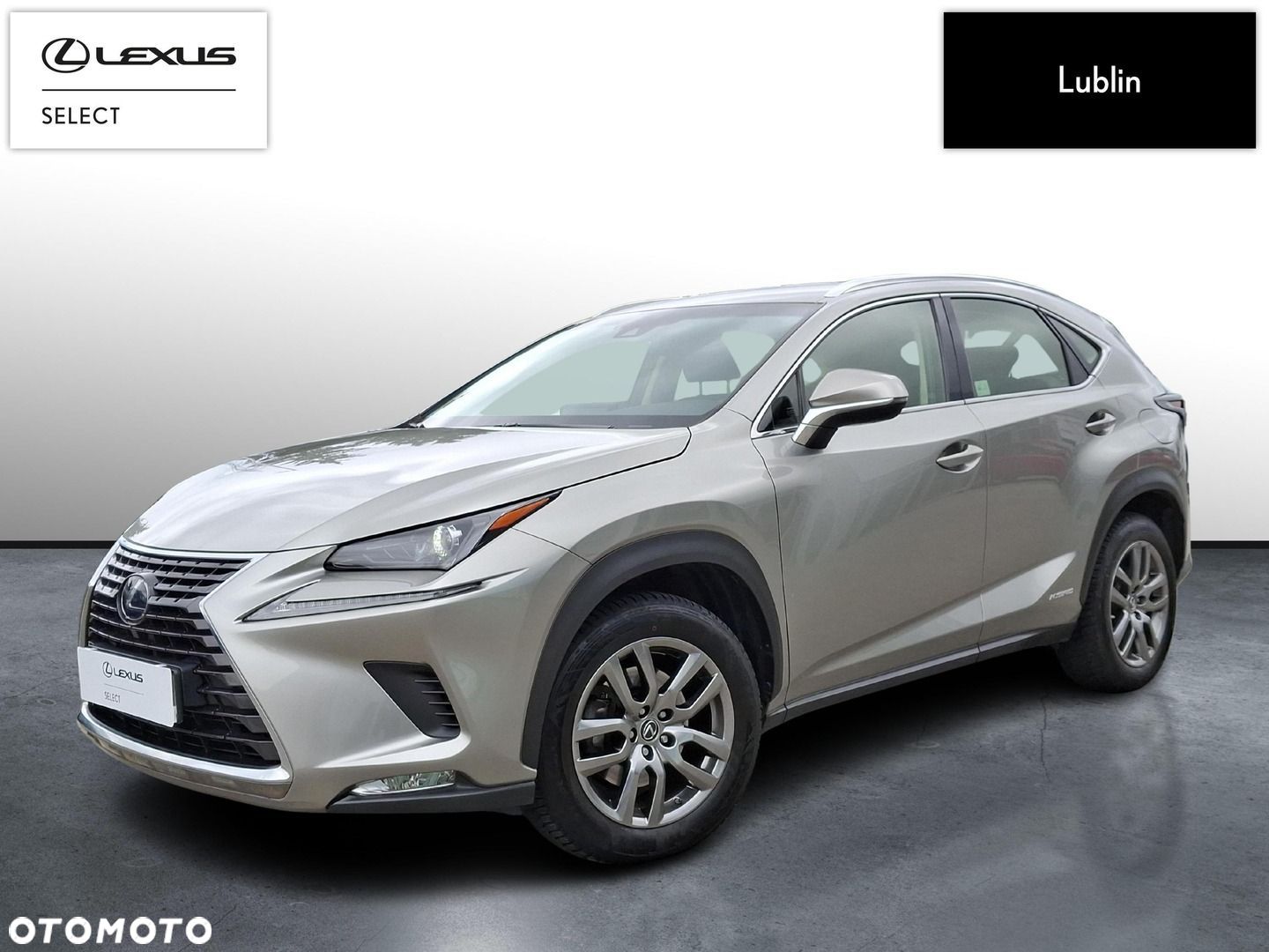 Lexus NX - 1