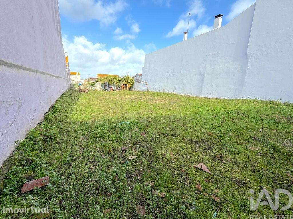 Terreno para construção em Benfica do Ribatejo - Grande imagem: 2/10