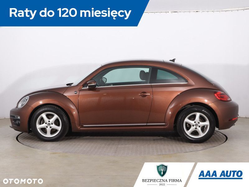 Volkswagen Beetle - 4
