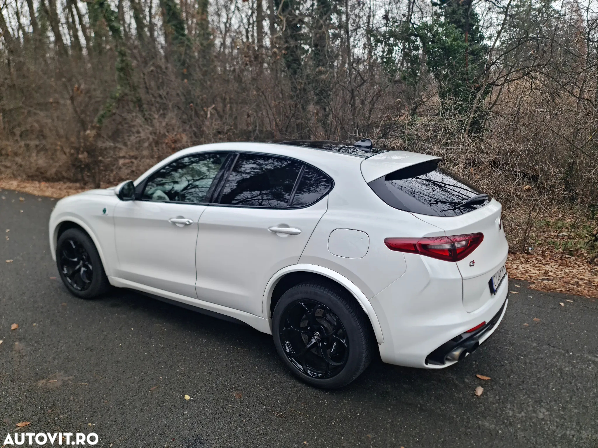 Alfa Romeo Stelvio 2.9 V6 Turbo AWD AT8 Quadrifoglio - 3