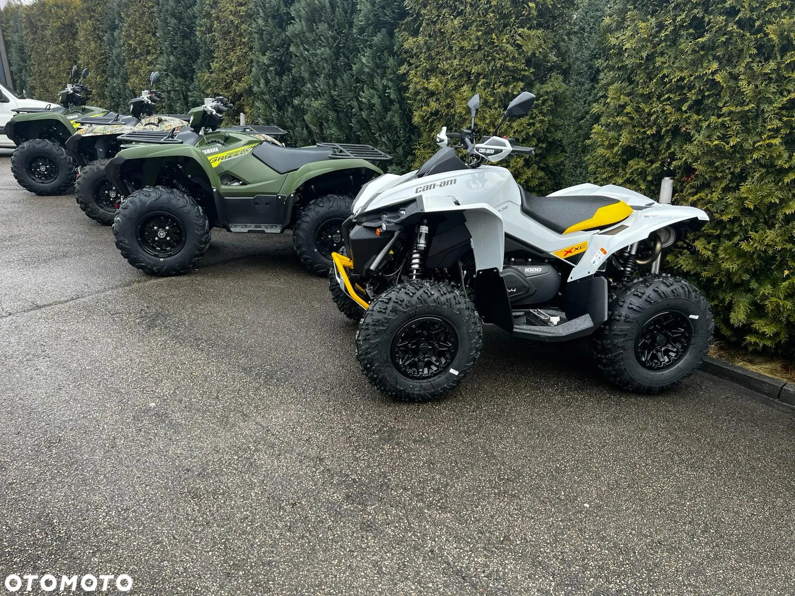Can-Am Renegade - 10