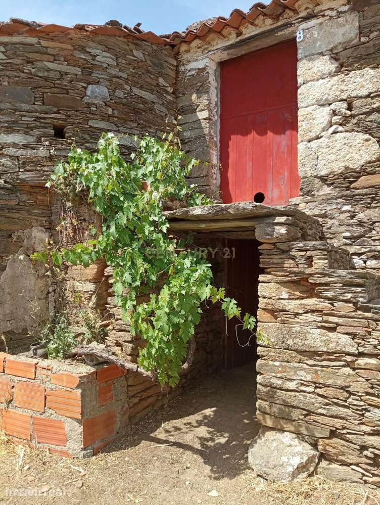 Casa em Xisto em Joaninho, Santo André das Tojeiras - Grande imagem: 3/10
