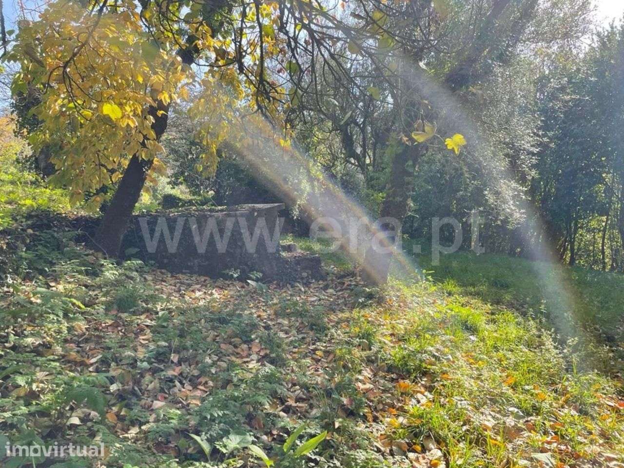 Quinta para restauro em Ribeiros - Fafe - Grande imagem: 5/17