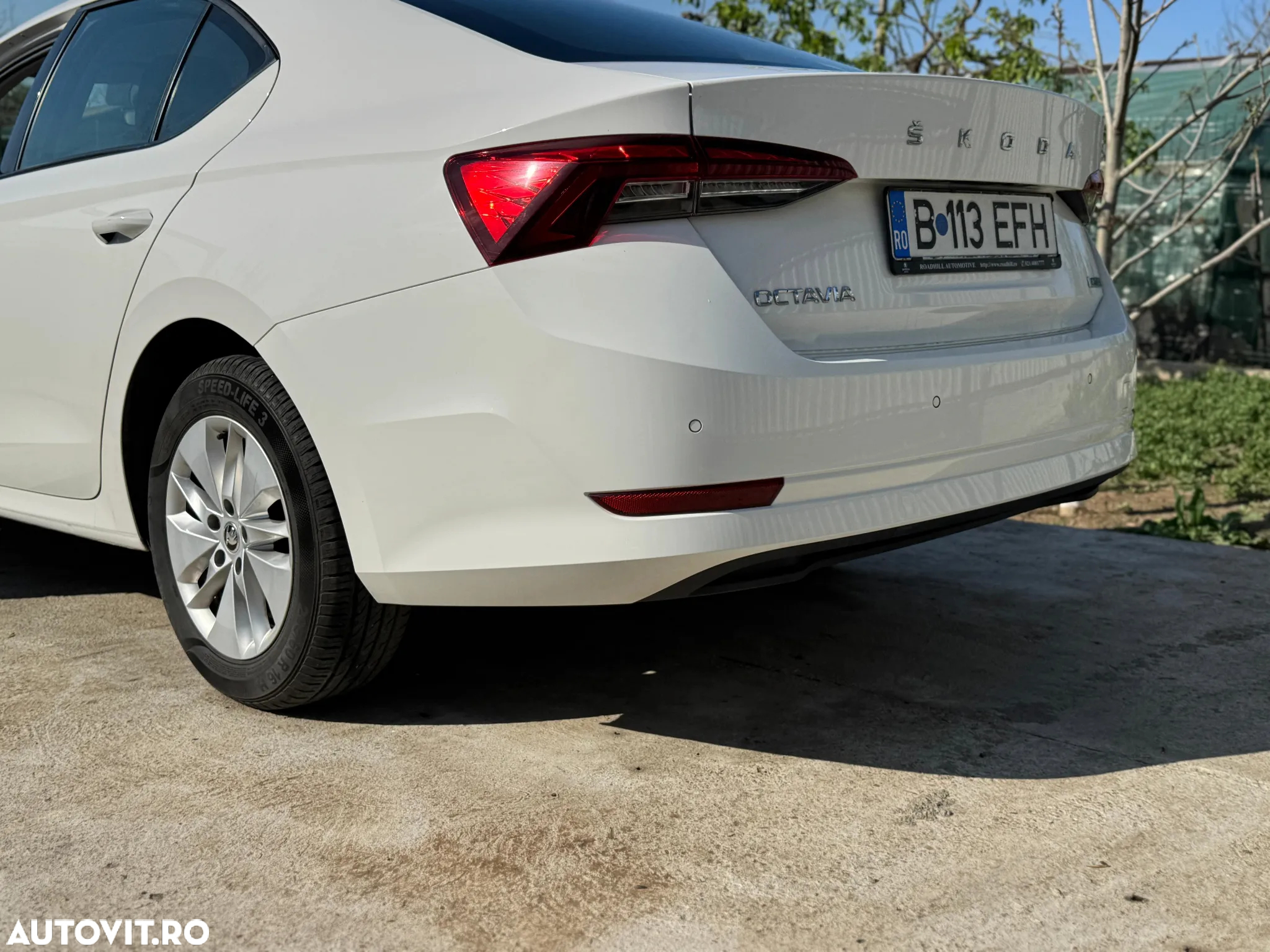 Skoda Octavia 1.0 TSI DSG Mild Hybrid Ambition - 6