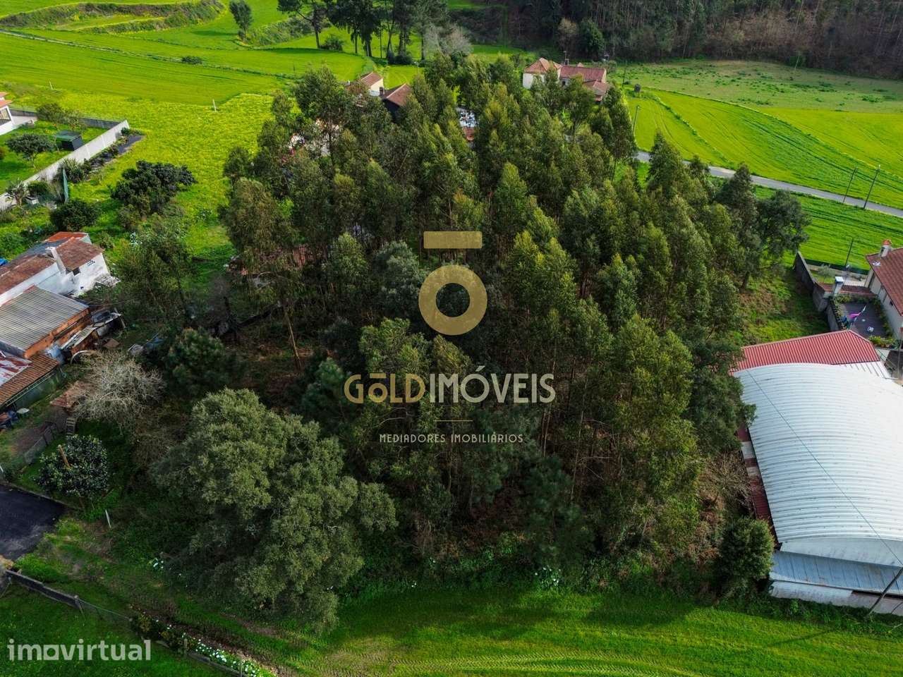Terreno Rústico  Venda em São Martinho da Gândara,Oliveira de Azeméis - Grande imagem: 5/16