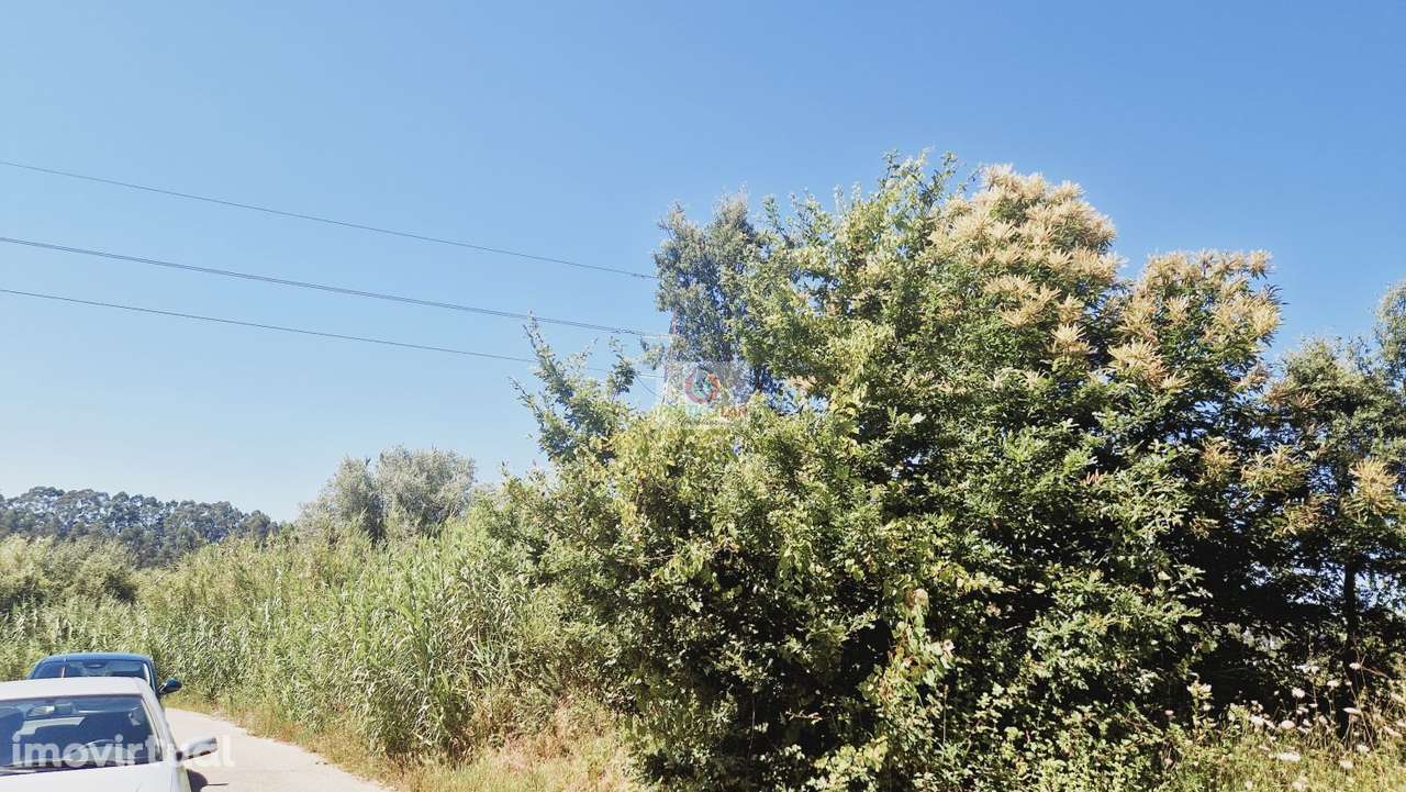 Terreno  inserido em Zona RAN - Grande imagem: 3/5