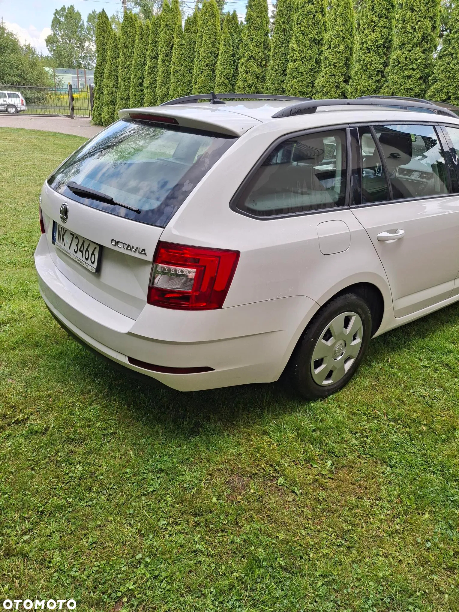 Skoda Octavia 1.6 TDI Ambition - 6