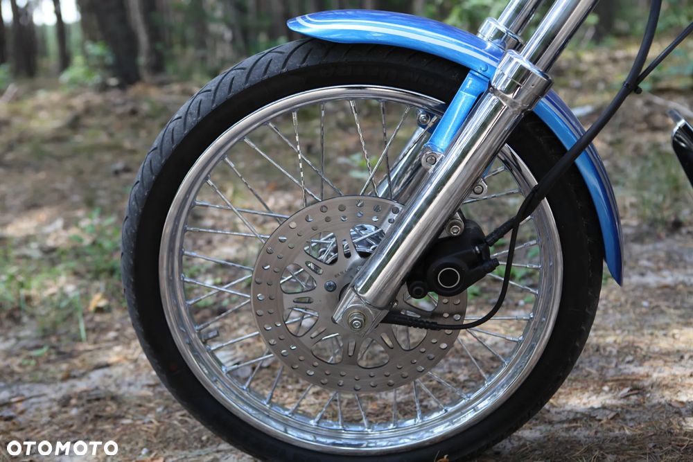 Harley-Davidson Softail - 7