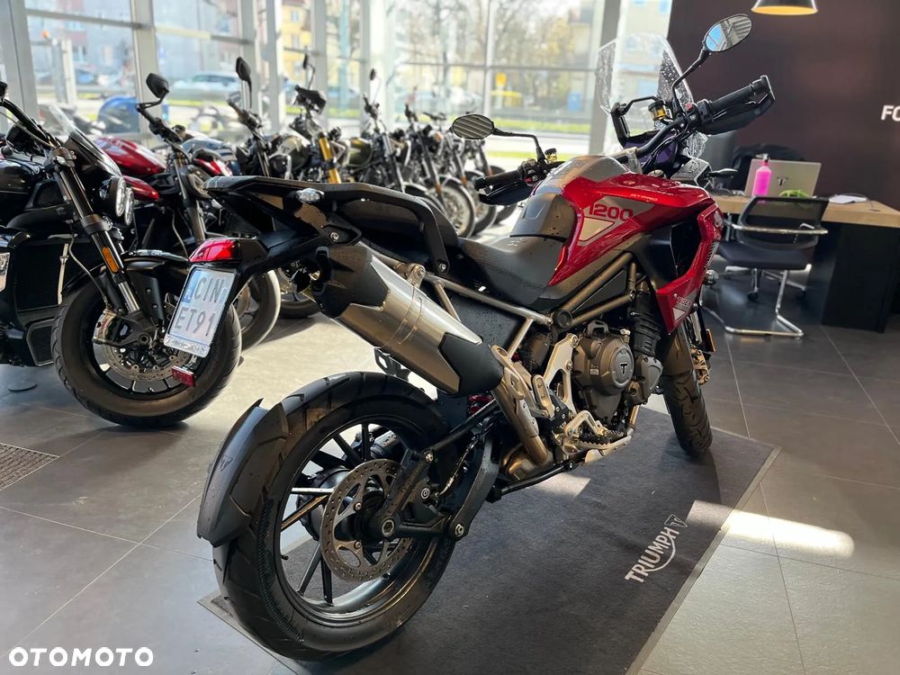 Triumph Tiger - 4