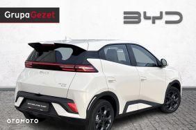 BYD Dolphin Surf - 5