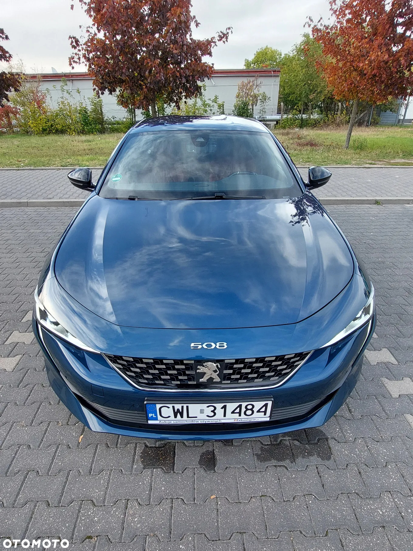 Peugeot 508 1.5 BlueHDi GT Line S&S EAT8 - 13