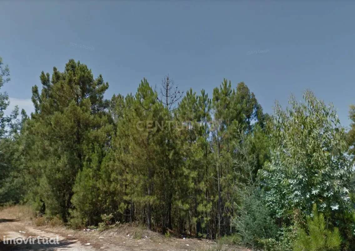 Terreno em Orgens - Grande imagem: 3/5