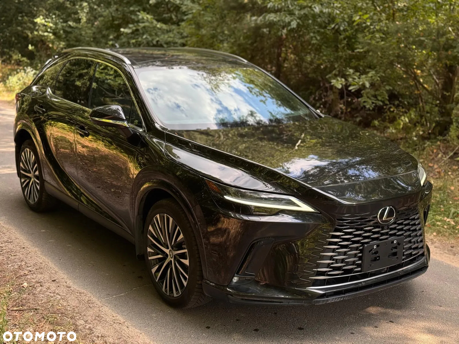 Lexus RX 350h (hybrid) Business - 2
