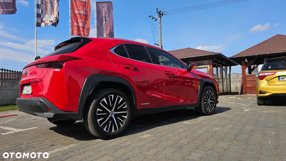 Lexus UX 250h Elegance 2WD - 14