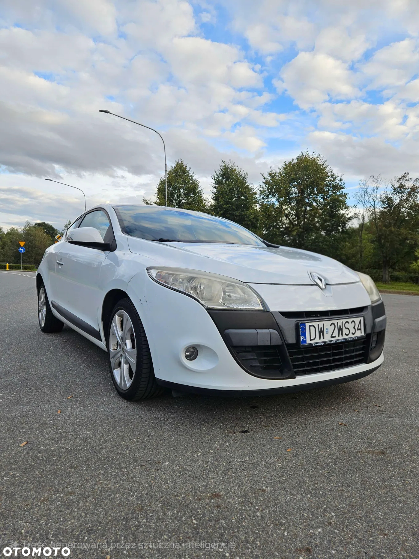 Renault Megane 1.6 Coupe Dynamique - 10