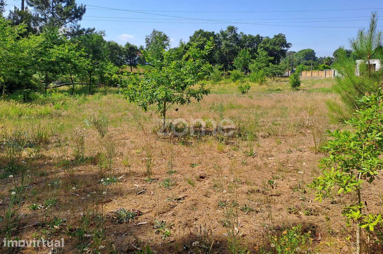 Terreno agrícola Areeiro 2978m², vedado, árvores pomar, Águeda, Ave...