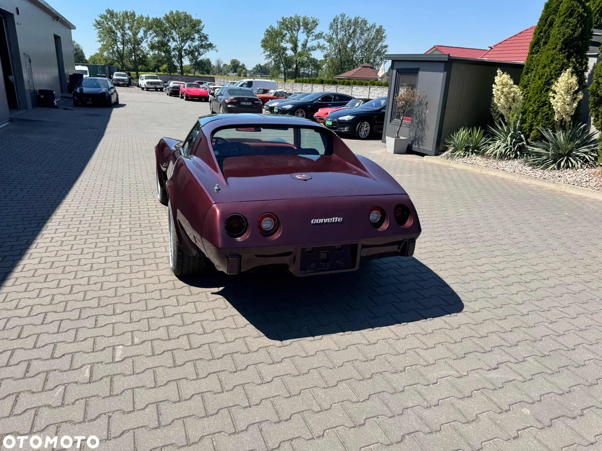 Chevrolet Corvette - 21