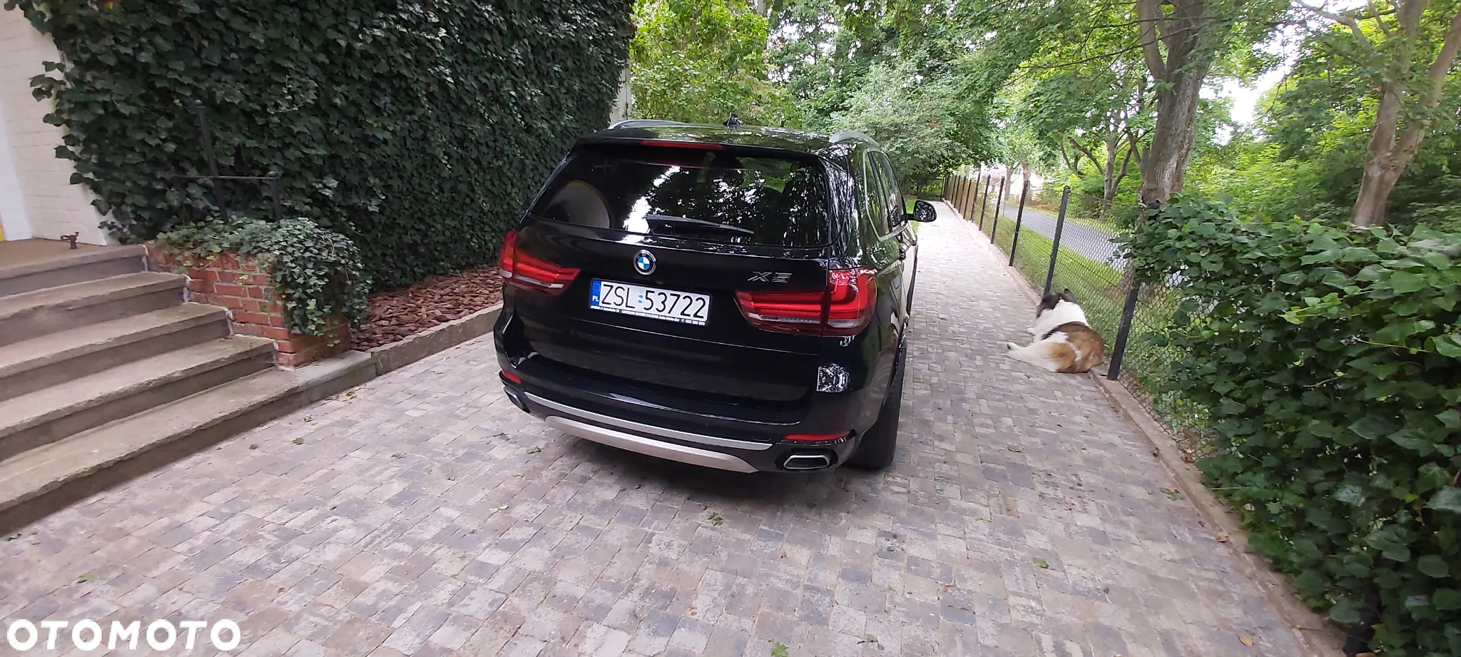 BMW X5 - 5