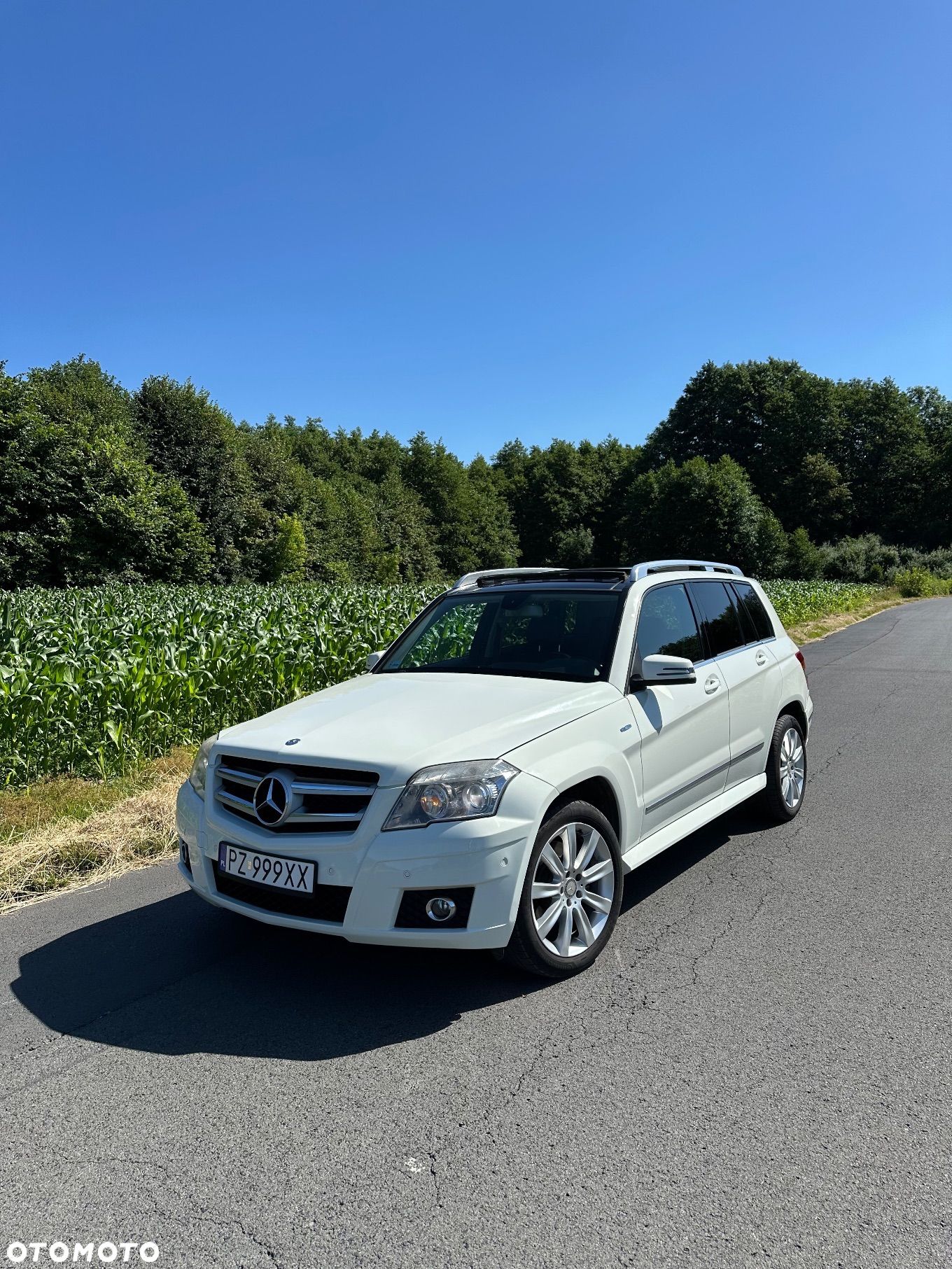 Mercedes-Benz GLK 220 CDI BlueEff 4-Matic - 1