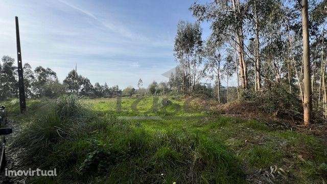 Terreno rústico com 24450m2 em Olival, Vila Nova de Gaia. - Grande imagem: 2/9