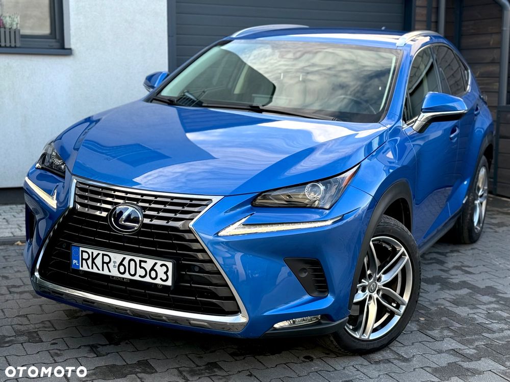 Lexus NX - 4