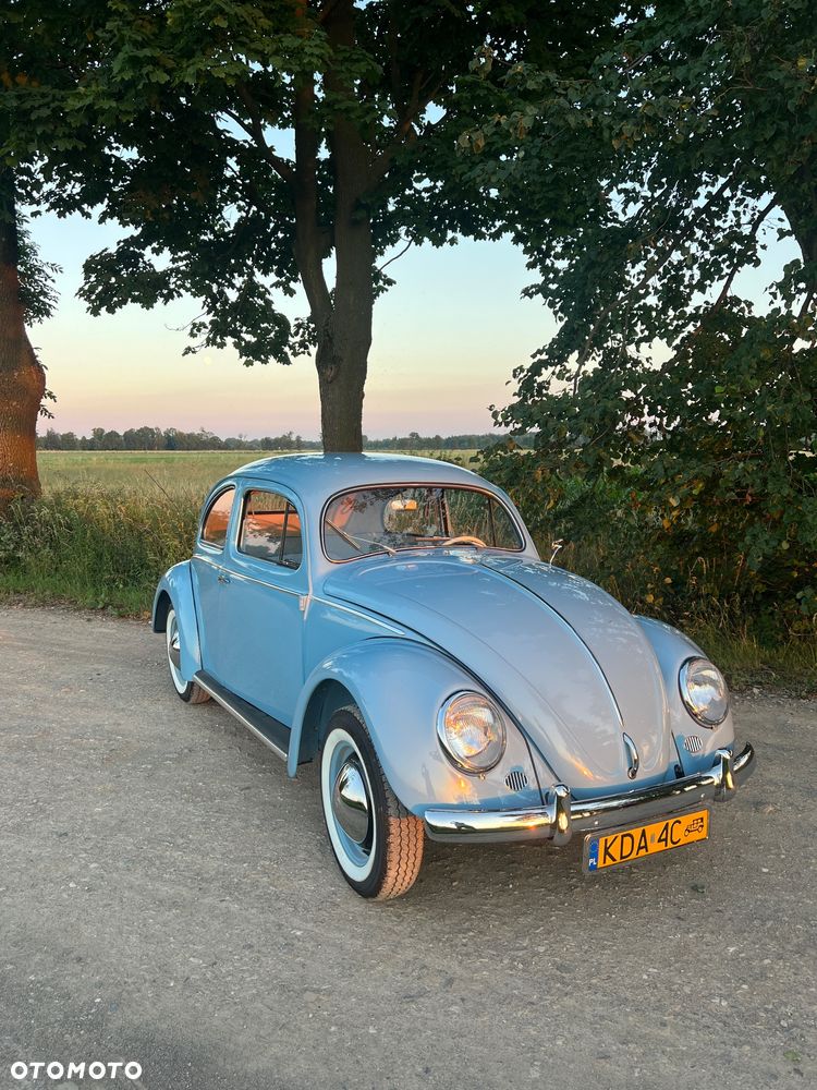 Volkswagen Garbus - 5