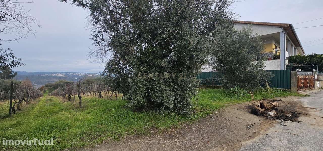 Terreno na zona de Silgueiros - Grande imagem: 3/8