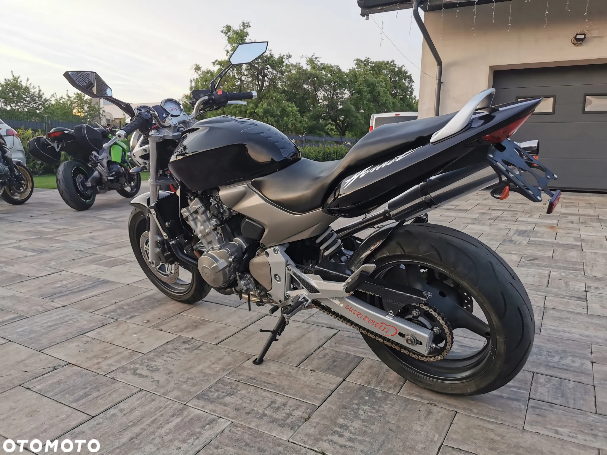 Honda Hornet - 7