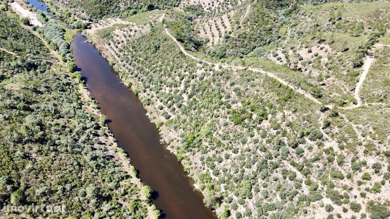 Terreno Rústico  Venda em Sarzedas,Castelo Branco - Grande imagem: 5/8