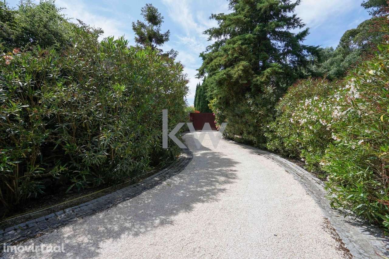 Moradia Isolada T3 em Lote de 3800m2 | Arquitetura Bioclimática | Cola - Grande imagem: 3/52