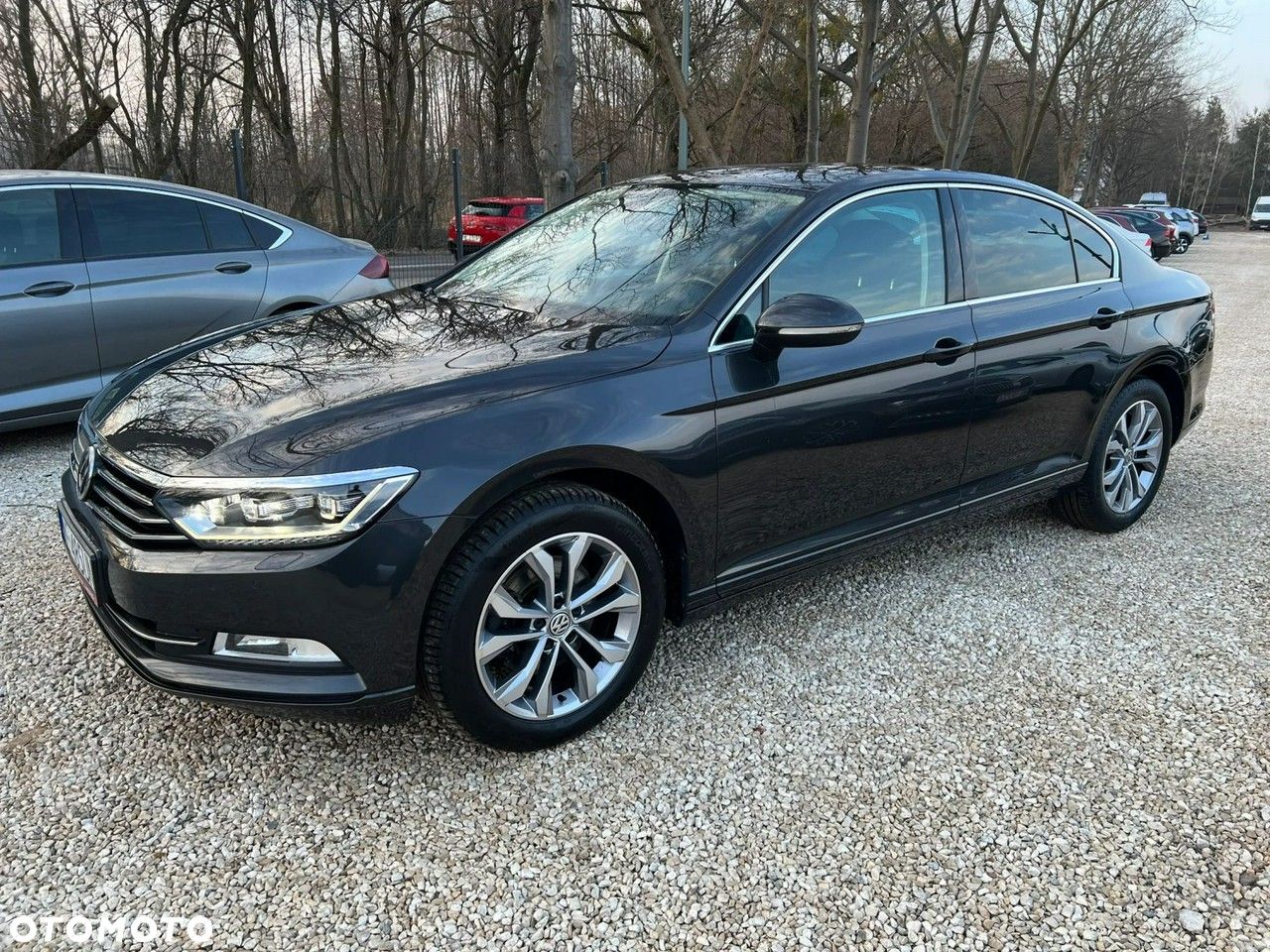Volkswagen Passat - 1