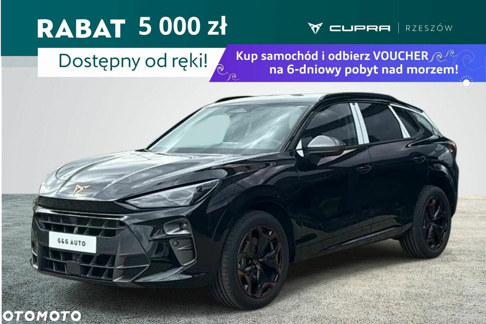 Cupra Terramar 2.0 TSI 4Drive DSG - 1