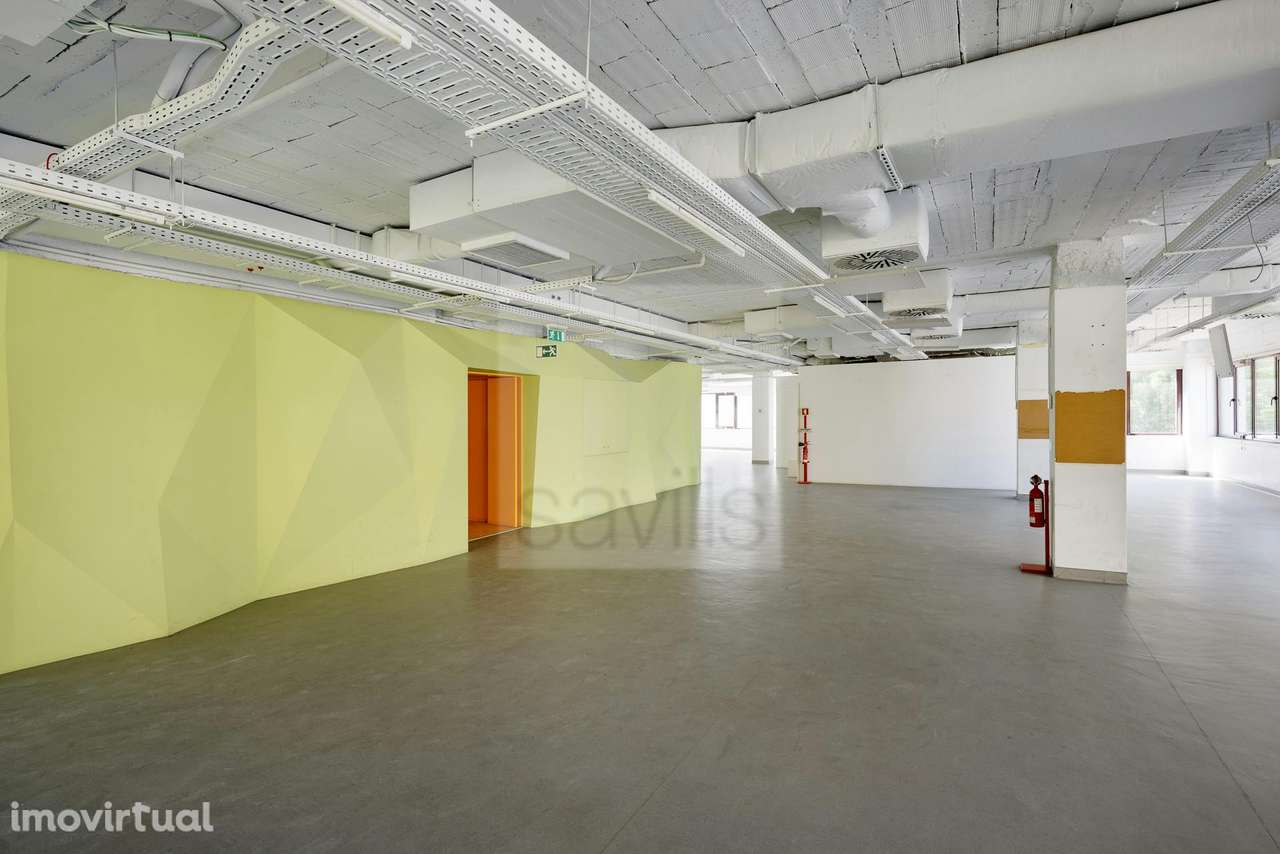 Ricardo Severo 3 - Grande imagem: 3/16