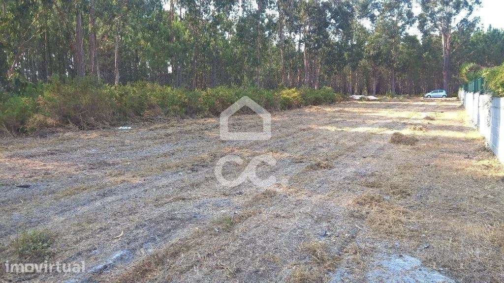 Terreno  Venda em Marinha Grande,Marinha Grande - Grande imagem: 5/5