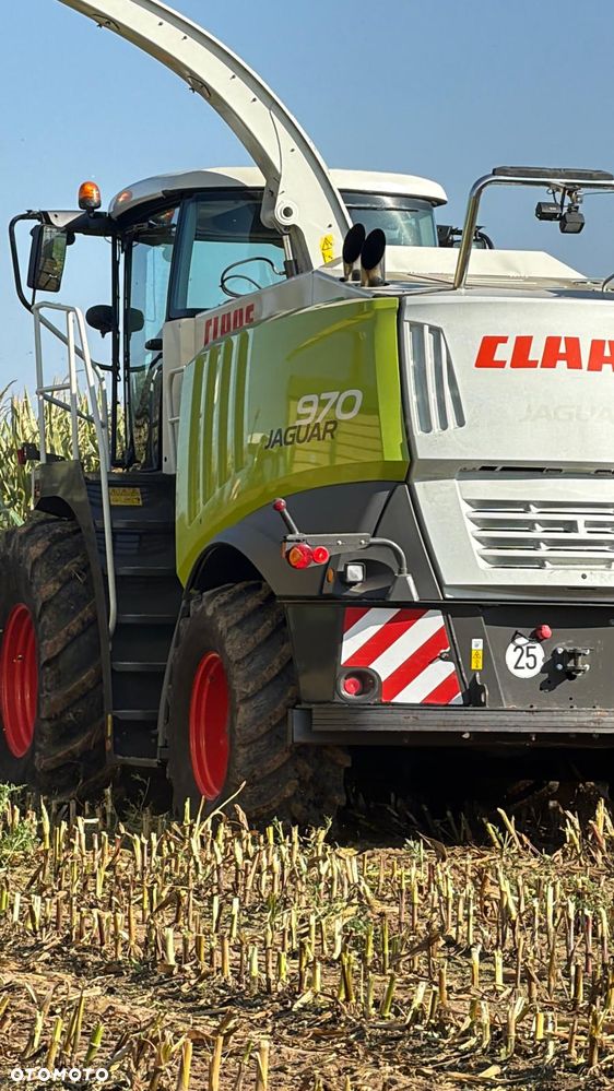 Claas Jaguar 970 - 3