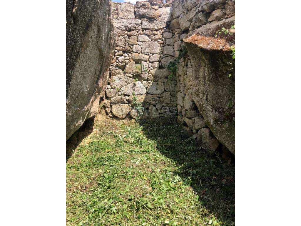 Quinta com 75.000m2, Linhares da Beira - Grande imagem: 4/11