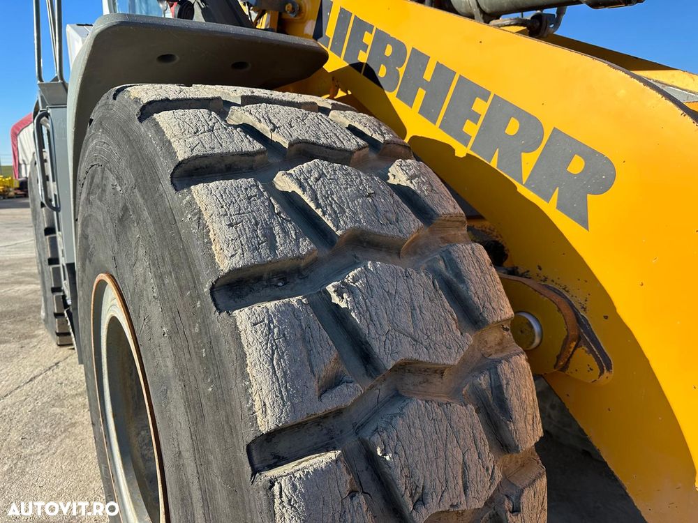 Liebherr 556 X Power - 6