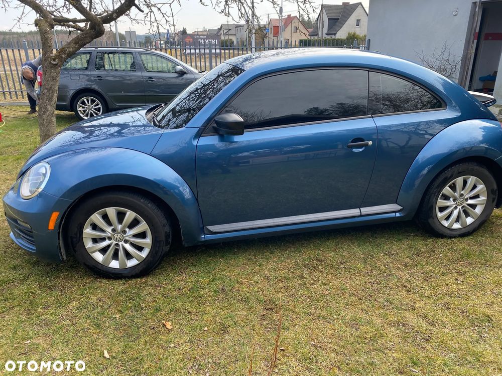 Volkswagen Beetle - 6