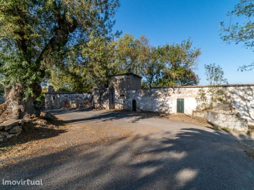 Quinta - Freiria - Sobral Monte Agraço - Grande imagem: 4/19