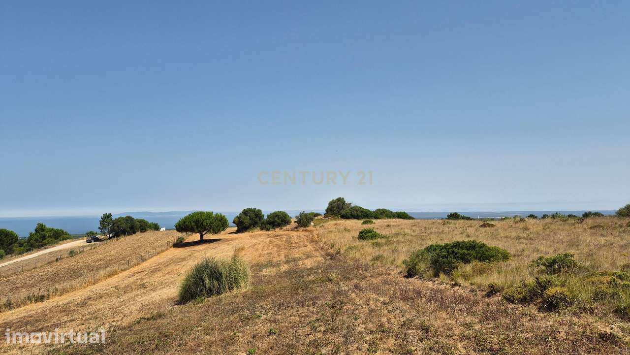 Terreno na Azoia (15.700 m²) | PIP Aprovado para Moradia + Cave | Vist - Grande imagem: 5/20