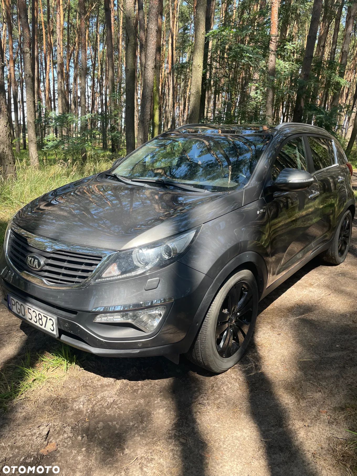 Kia Sportage - 1