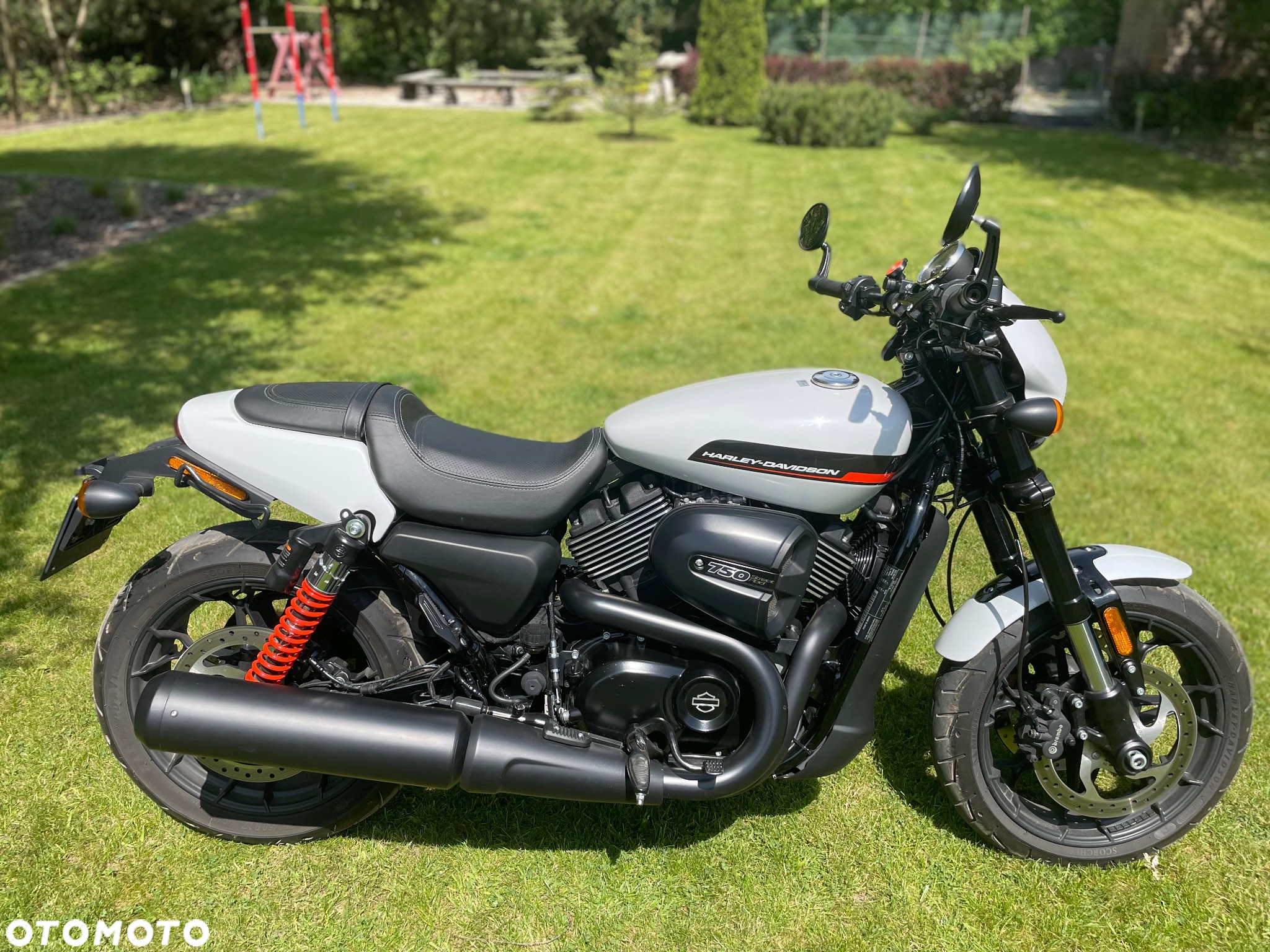Harley-Davidson Street Rod XG 750A - 4