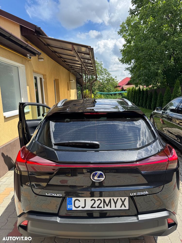 Lexus UX 250h Business Edition - 15