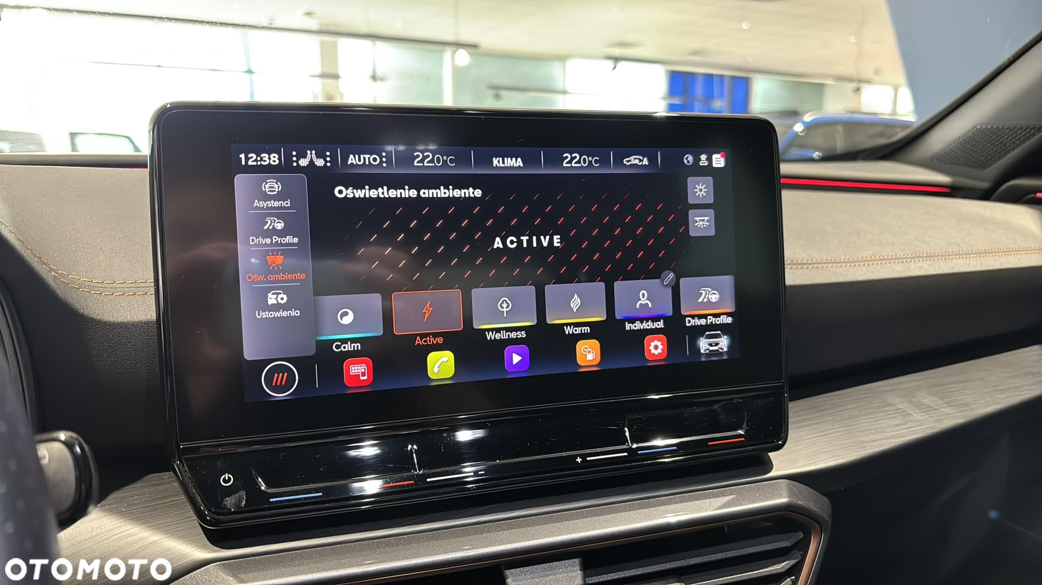 Cupra Formentor 1.5 TSI DSG - 22