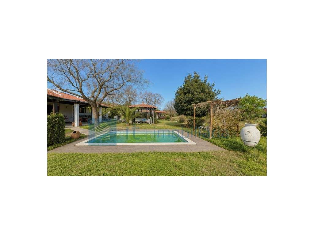 Monte alentejano / Quinta / Herdade - Grande imagem: 2/49