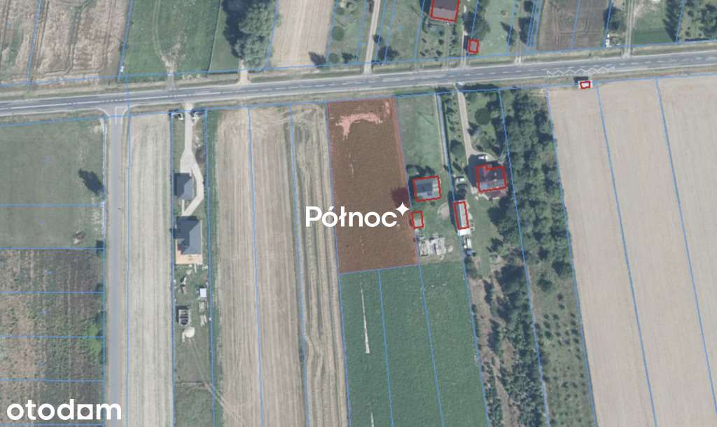 Działka o pwierzchni 2634 m² – Witoldów - Pełny obrazek: 4/6