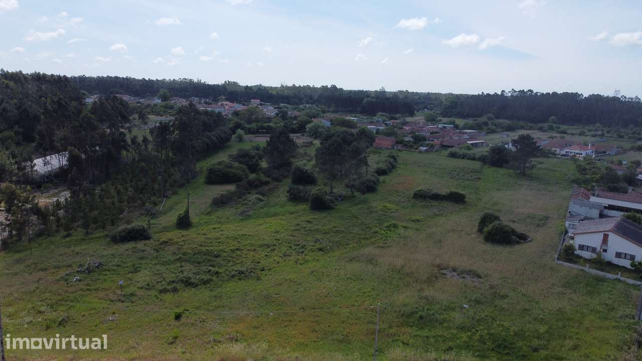 Terreno Rústico de 7000m² na Bairrada - Grande imagem: 5/8
