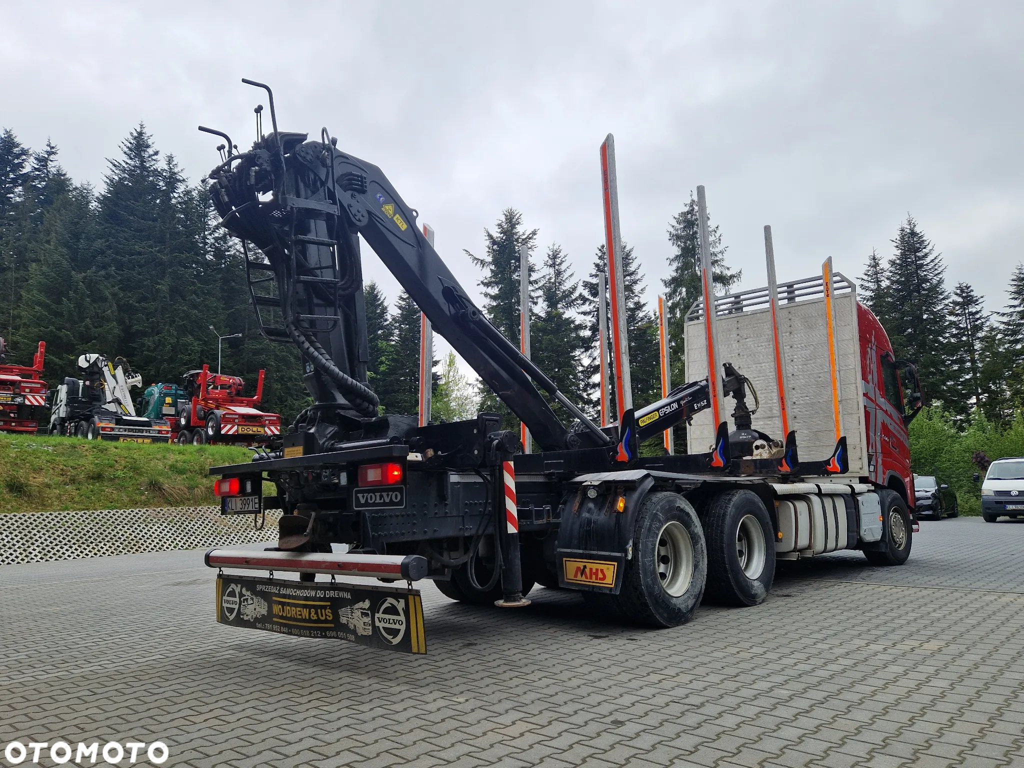 Volvo Do drewna drzewa lasu stos kłoda - 7