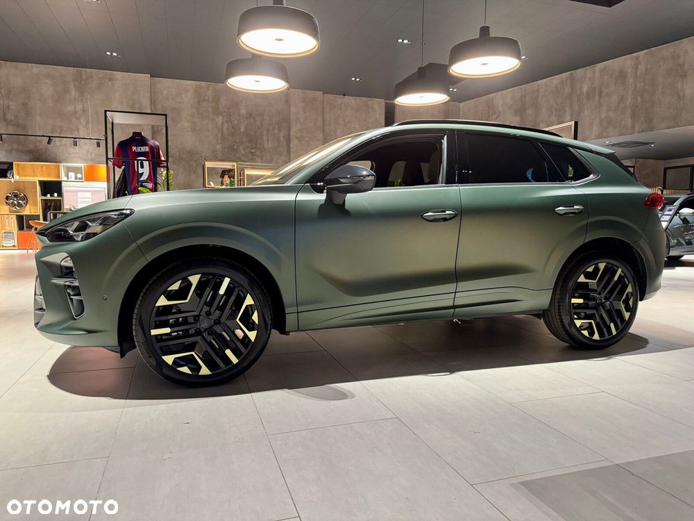 Cupra Terramar 2.0 TSI 4Drive Tribe Edition DSG - 15